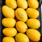 صندوق مانجا سكري 7 كيلو