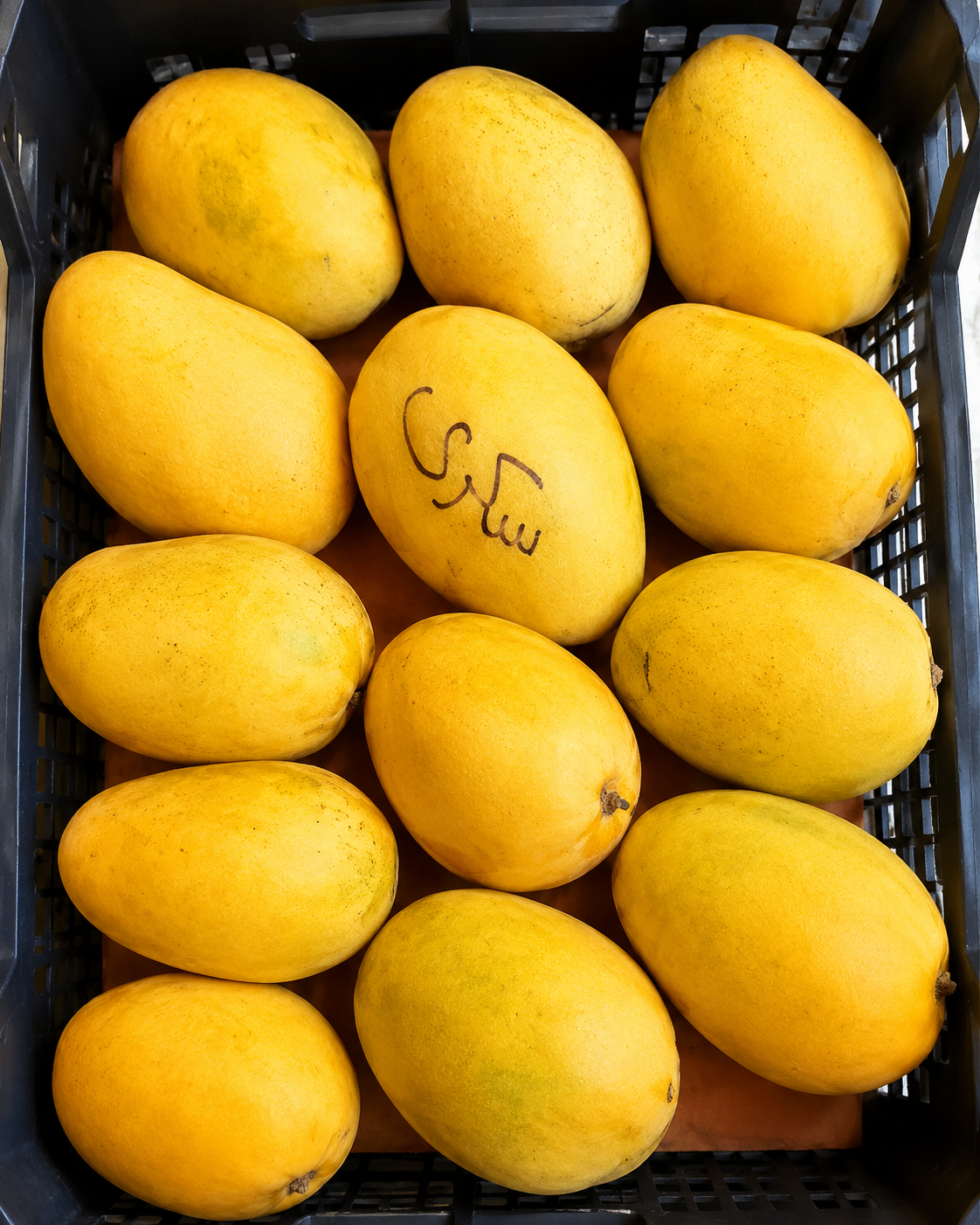 ae40e02f-3b14-49c5-b788-03973a6ad315 صندوق مانجا سكري 7 كيلو - الصورة 1