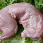 ارانب شمورت