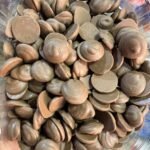 شوكولاته كوينز  بالحليب