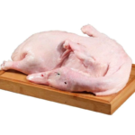 بط ابيض