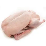 بط بلدي
