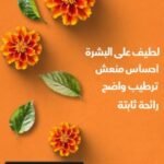 صابونه دش