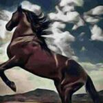 جواد بلا فارس مني سلامة