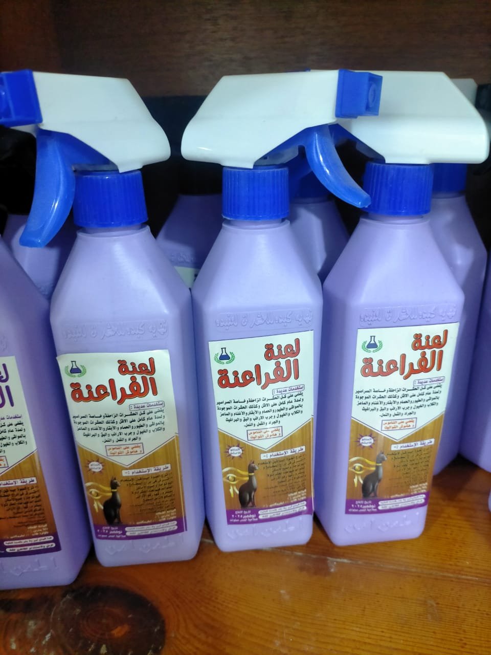 84 (2) لعنة الفراعنه - الصورة 1