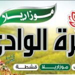 موزاريلا زهرة الوادي