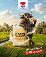 ⁦موزاريلا ايفو يونيفرسال⁩ - الصورة ⁦3⁩