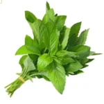 ربطة نعناع